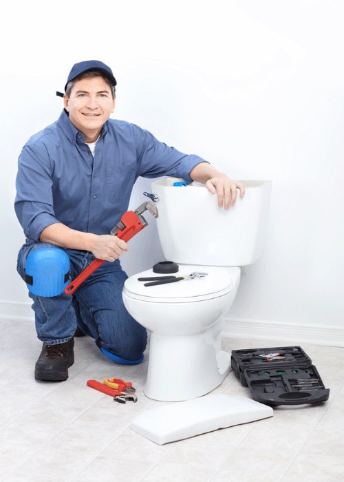 Toilet Repair