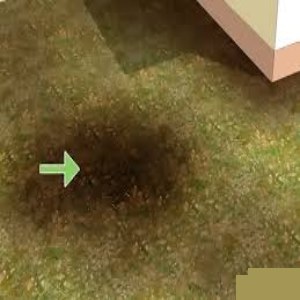 Water Leak Underground